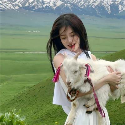 绝命凯特在线观看海报
